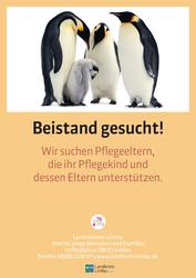 Bild vergrößern: Pflegekampagne - Pinguine