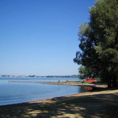 Bild vergr��ern: Park Camping Zech