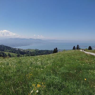 Die Alpen im Blick: Vor allem im Herbst zieht es viele Menschen in die Berge